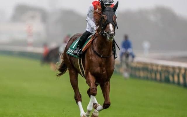 【朝日杯FS予想】今年は京都1600mが舞台 カギは傷みが進んだ馬場への対応