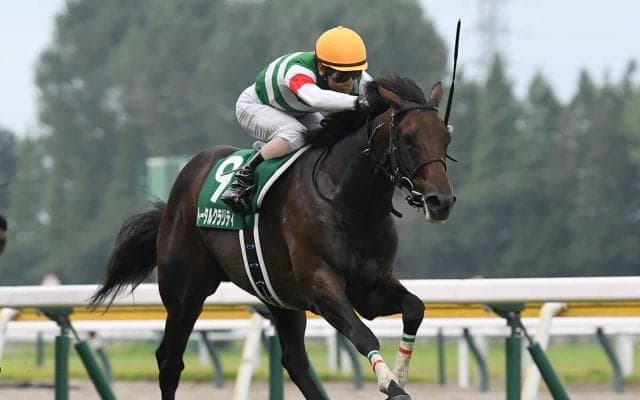 【競馬予想】ＧＩ朝日杯FSは関西馬 過去データから浮上した２頭の穴馬が好配当を演出か!?