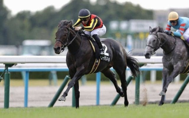 【朝日杯FS】ミュージアムマイルは2枠4番…混戦模様の顔ぶれ