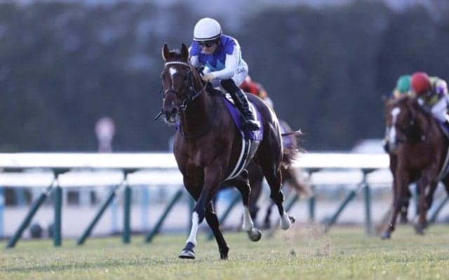 【朝日杯FS】アドマイヤズームが圧勝…武豊アルテヴェローチェは伸びきれず