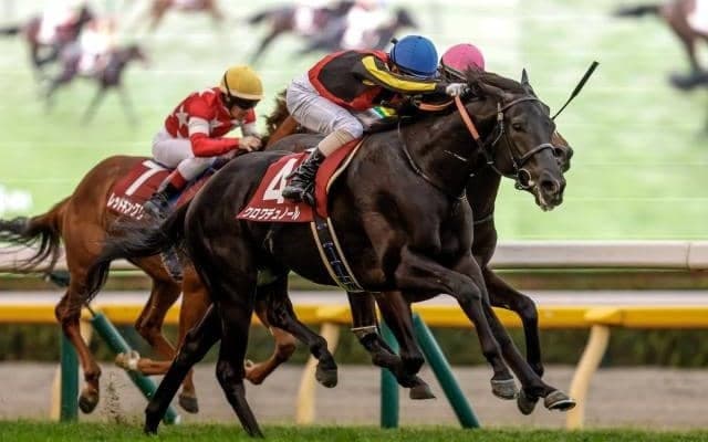 【ホープフルS】クロワデュノール、マジックサンズらが登録