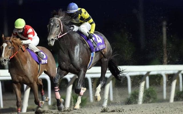 【岩手競馬】トウケイニセイ記念見どころ…ノーブルサターン3連覇なるか