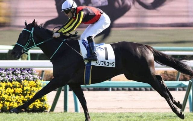 【新馬/中山5R】トリプルコークで断然の人気に応える