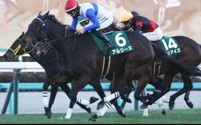 【ターコイズS】トップハンデ・アルジーヌが重賞初制覇