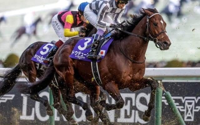 一年の総決算 グランプリ・有馬記念など3重賞/今週の競馬界の見どころ