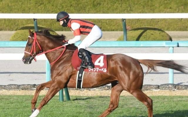【阪神C見どころ】ベストの距離でウインマーベルが連覇に挑む