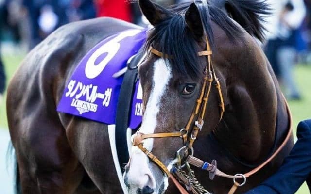 史上7組目の父仔有馬制覇へ 11回目のGIとなる実力馬が参戦