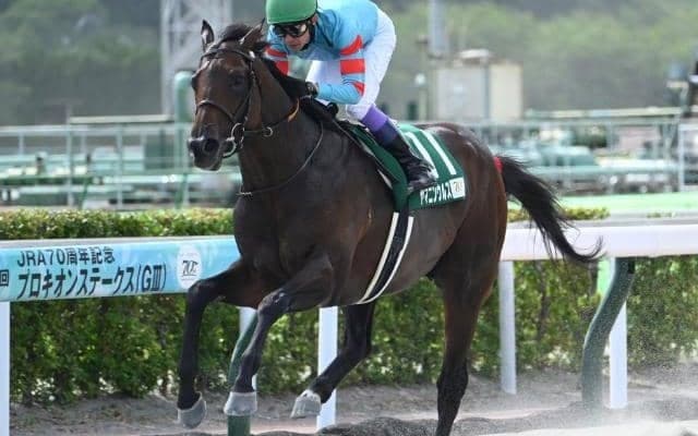 【名古屋大賞典枠順】5戦5勝のヤマニンウルスは3枠3番