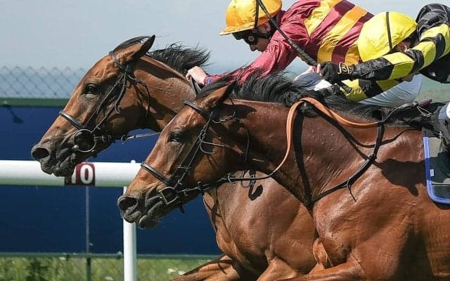 【有馬記念／危険な人気馬】競馬界を牽引した“ダービー馬”を消し　メンバー充実で「易々と勝たせてくれる相手ではない」