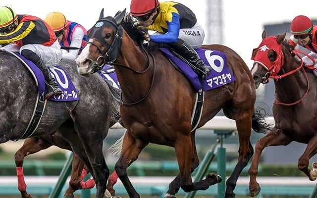 【阪神C想定騎手】ママコチャは川田将雅騎手、ナムラクレアはC.ルメール騎手