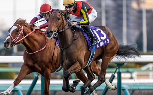 昨年のホープフルS覇者が挑む64年ぶりの大記録 戸崎騎手との初タッグで有馬記念Vへ