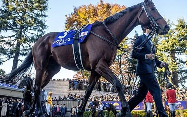 【有馬記念想定騎手】ドウデュースは武豊騎手、アーバンシックはC.ルメール騎手