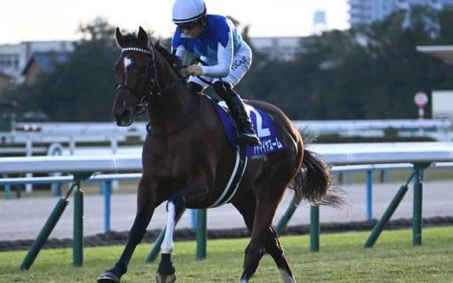 アドマイヤズームが朝日杯FS制覇 モーリス産駒初の2歳GI勝ちは母方の“名配合”が後押し