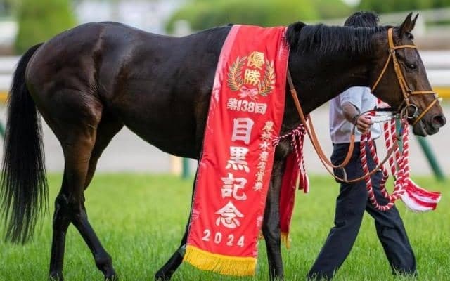 有馬記念史上初のセン馬Vなるか 重賞2勝馬ら2頭がエントリー