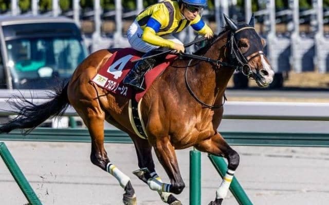 GIIで3勝の実力派がグランプリ初参戦 有馬記念で悲願のビッグタイトルなるか
