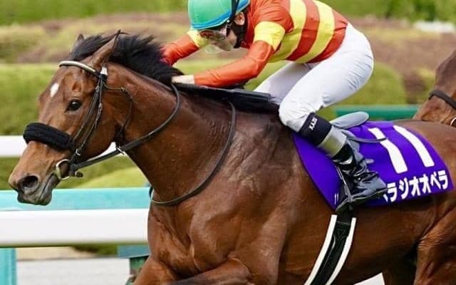 大阪杯覇者が2つ目のGIタイトルへ 有馬記念で父に新たな勲章を届けるか