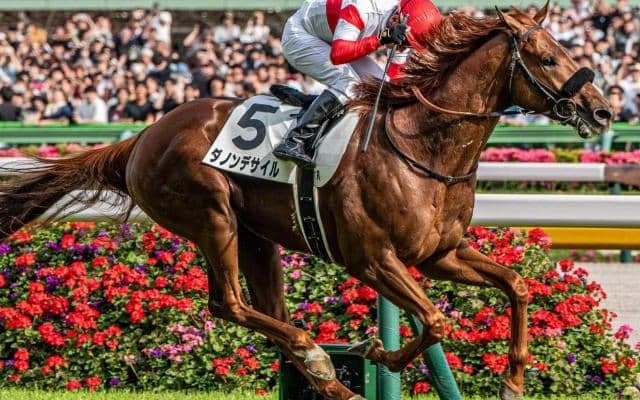 今年のダービー馬がグランプリで古馬撃破へ 有馬記念で2つめのビッグタイトル狙う