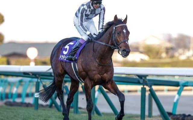 【有馬記念予想オッズ】ドウデュースが予想1番人気