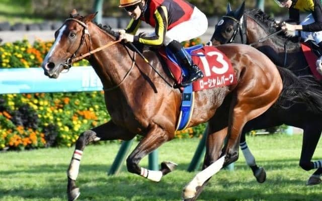 今年こそ咲くか「エアグルーヴの血」 曾孫が一族悲願の有馬記念Vへ