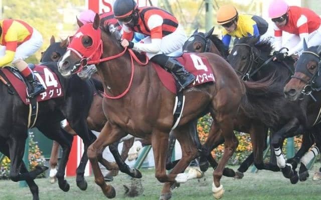 【阪神C予想オッズ】ウインマーベルが予想1番人気