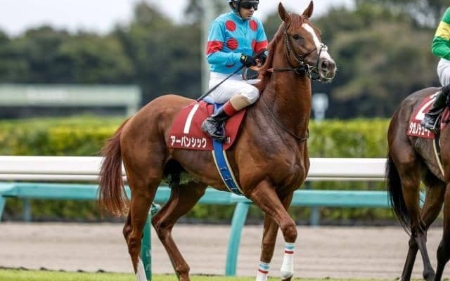 【有馬記念展望】菊花賞馬アーバンシックが好走必至だ