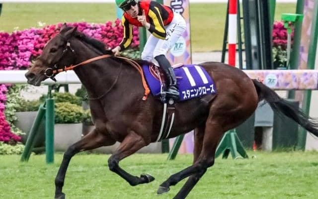 エ女王杯から直行での有馬記念Vは史上初!? 今年の覇者らが偉業に挑戦