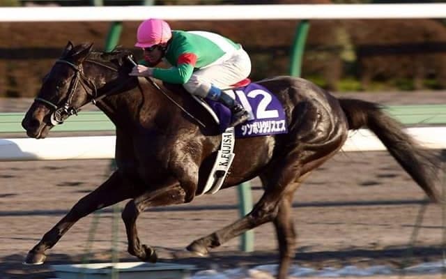 前回の有馬記念連覇は21年前 衝撃の9馬身差Vで決めたラストラン