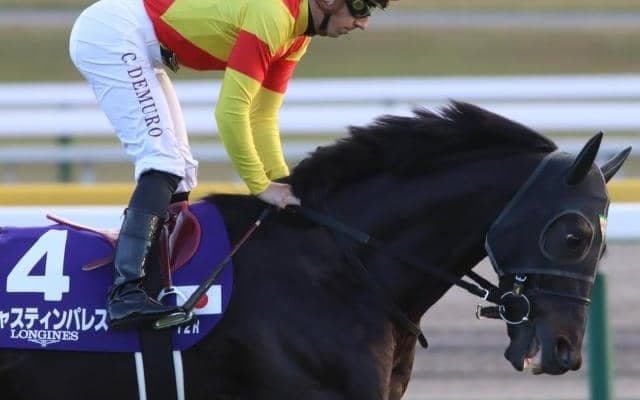 過去2年は7着、4着も「三度目の正直」で有馬記念Vなるか 昨年の天皇賞(春)覇者が再び参戦