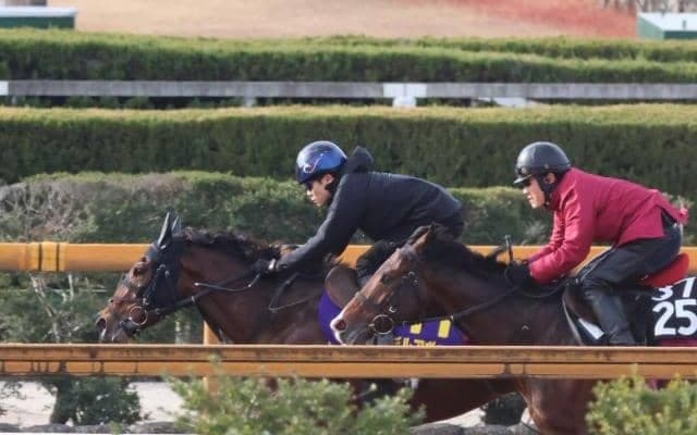 デルアヴァーなど、ホープフルS1週前追い切り速報/栗東トレセンニュース