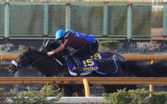 マジックサンズなど、ホープフルS1週前追い切り速報/栗東トレセンニュース