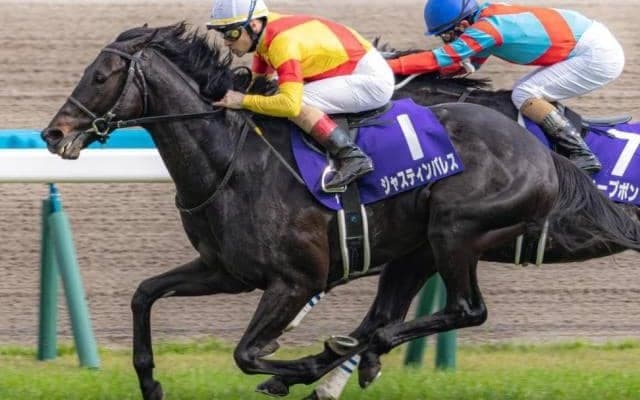 ディープインパクト産駒14年連続中央GI制覇へ ラストチャンスの有馬記念で決められるか