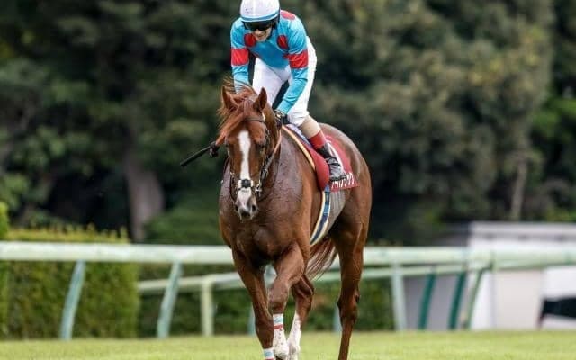 【有馬記念予想】穴党のAIも堅い決着を示唆？ レース傾向からも推奨できる一頭とは