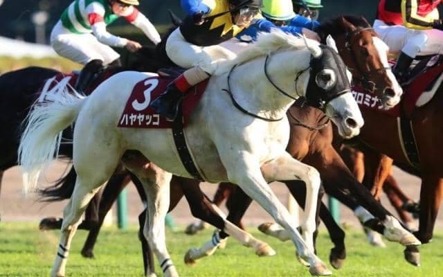 重賞3勝ベテランが有馬記念の歴史変えるか 史上最年長制覇に挑戦