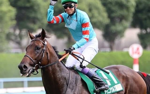 【名古屋大賞典注目馬】5戦5勝のヤマニンウルスら好メンバー集結 来年以降に向けて見逃せない一戦に