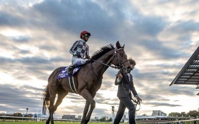 【有馬記念出走馬・騎手確定】ドウデュース＆武豊騎手、アーバンシック＆C.ルメール騎手など16頭