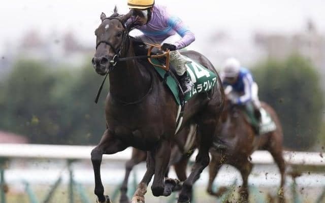 【阪神C出走馬・騎手確定】ウインマーベル＆松山弘平騎手、ナムラクレア＆C.ルメール騎手など18頭