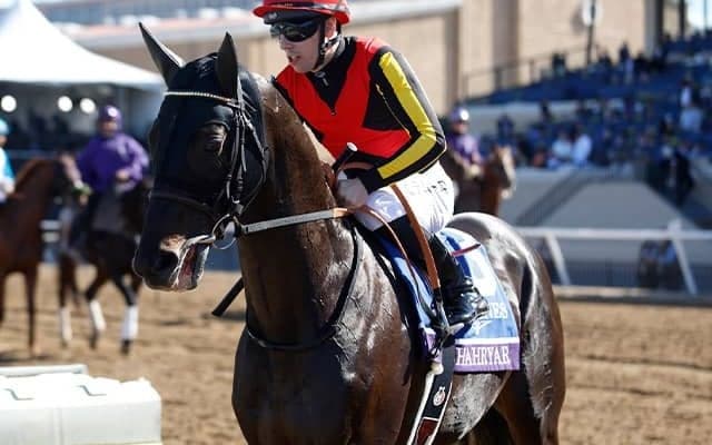 【有馬記念枠順】シャフリヤールは8枠16番に決定 藤原英昭調教師「状態がいいだけに…ごめんなさい」