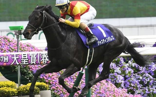  【有馬記念枠順】ジャスティンパレスは6枠11番に決定 坂井騎手「まあまあですかね」