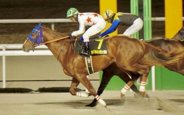 【名古屋大賞典】ミッキーファイトが重賞2勝目…ヤマニンウルスはまさかの敗戦