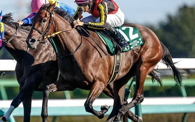 “辰年の有馬記念”に隠された連対率100％のデータ!? キーワードは「関西馬×7枠」