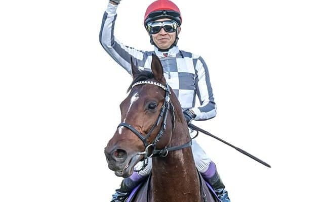 【有馬記念・調教後馬体重】ドウデュースは518kg、ダノンデサイルは524kg