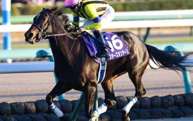 有馬記念5年連続好走中 “グランプリの牝馬”が今年も好配当を演出するか
