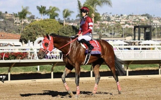 【東京大賞典】フォーエバーヤングなどJRA7頭