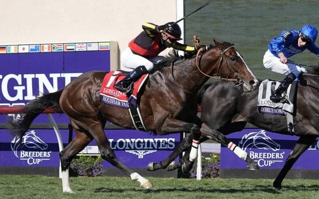【競馬予想】有馬記念は枠順重視が鉄則！　穴党記者が波乱の使者として抜擢した伏兵２頭