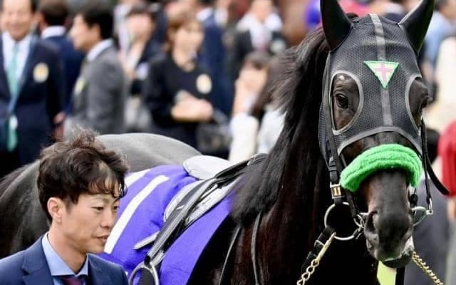 有馬記念の馬券圏内率は約7割!? 過去10年のローテから導く“堅軸候補”とは