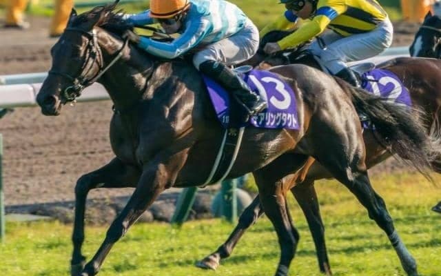 全姉は三冠牝馬 姉の主戦とともにデビュー勝ちを狙う