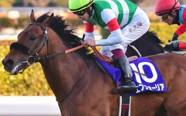 21年有馬記念などGI・3勝エフフォーリアの全妹 横山武史騎手を背に初陣