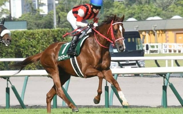 【今日の注目ポイント】中山大障害と京都で阪神C