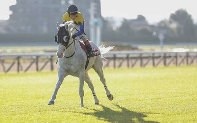 今年は3人にチャンス！ 史上初の有馬記念「騎手の兄弟制覇」