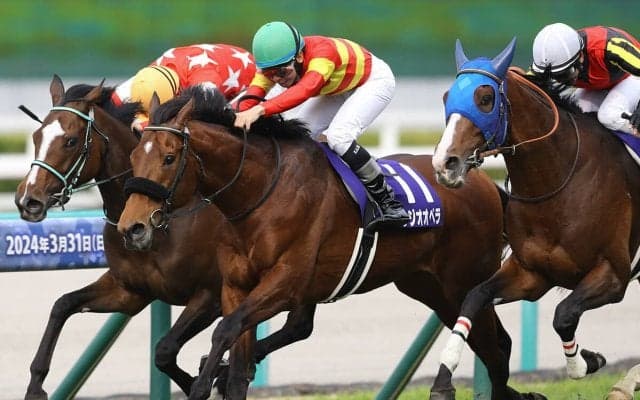 【競馬・有馬記念予想】ドウデュースの出走取消で激戦必至...馬場＆展開に利がある４歳馬に要注意